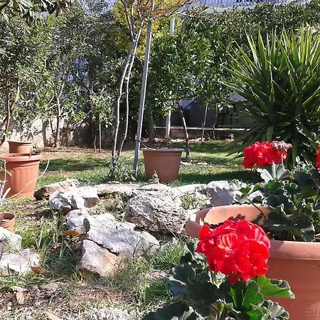 Garden Apartment Brodarica (Sibenik-Knin)