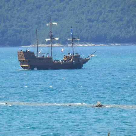 Garden Apartment Apartment