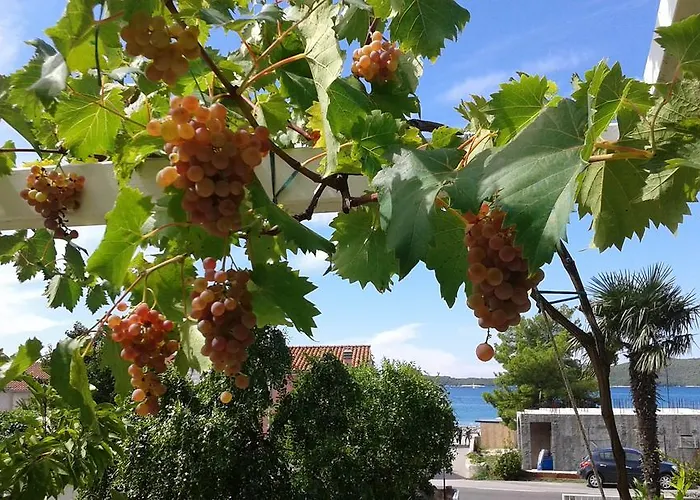 アパート Garden *