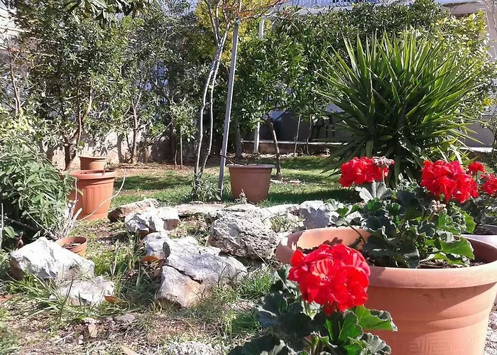 Garden ブロダリツァ